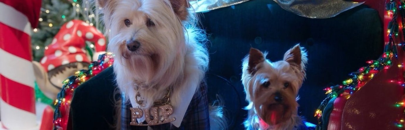 Просмотр фильма Рождество звездного щенка