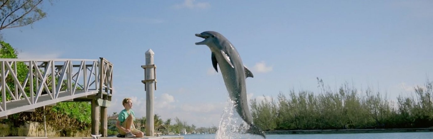 Просмотр фильма Мой друг дельфин Эхо