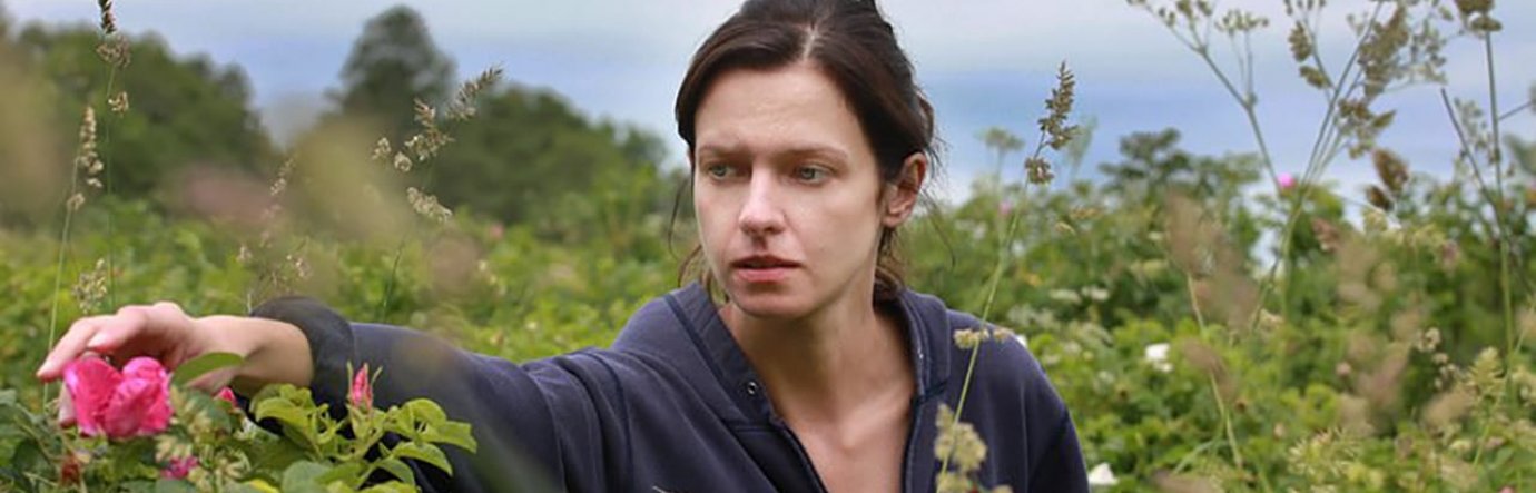 Просмотр фильма Дикие розы