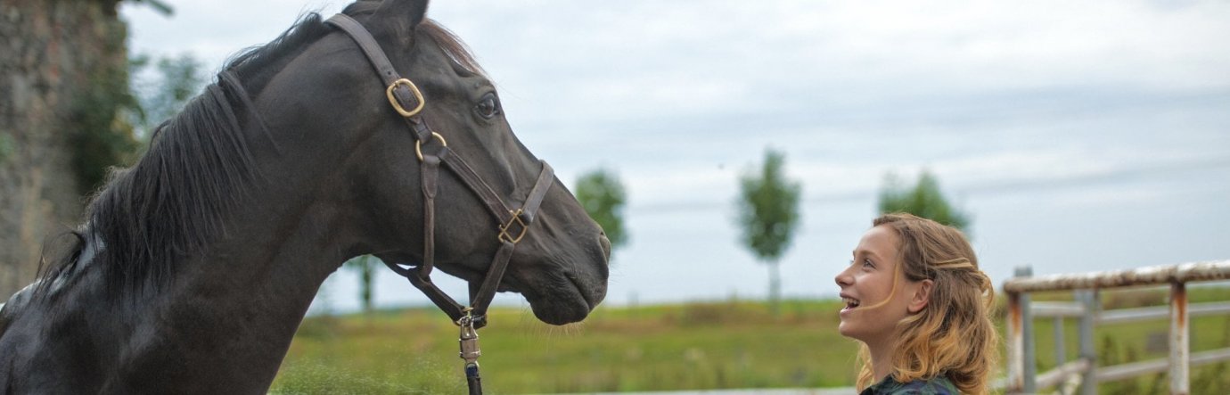 Просмотр фильма Потревожь мое сердце