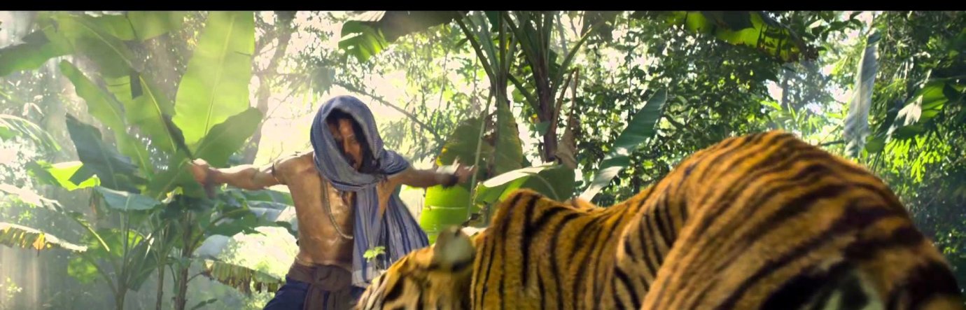 Просмотр фильма Сминг. Охота на тигра