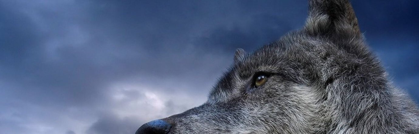 Просмотр фильма Не кричи «Волки!»