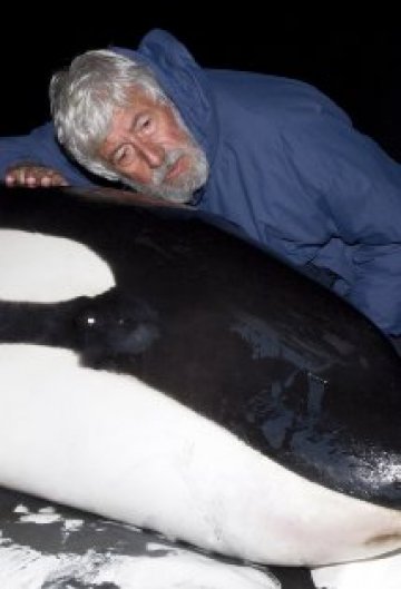 Жан-Мишель Кусто (Jean-Michel Cousteau) фото: Жан-Мишель Кусто (Jean-Michel Cousteau)