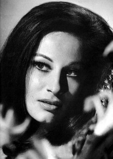 Оливера Катарина (Olivera Katarina) фото: Оливера Катарина (Olivera Katarina)