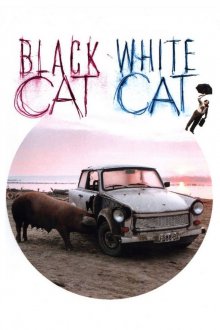 постер к фильму Черная кошка, белый кот