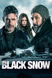 постер к фильму Чёрный снег