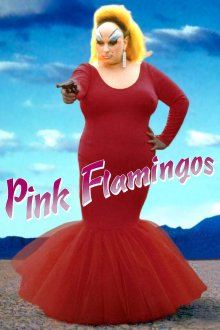 постер к фильму Розовые фламинго