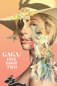 постер к фильму Гага: 155 см