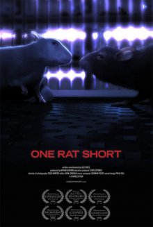 постер к фильму История одной крысы
