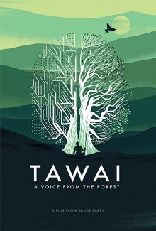 постер к фильму Таваи: голос, идущий из леса