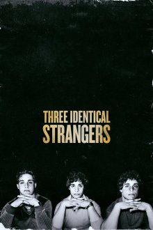 постер к фильму Три одинаковых незнакомца