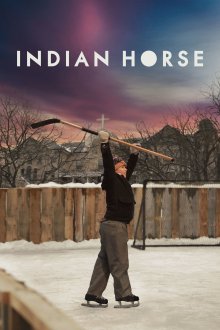 постер к фильму Индейский конь