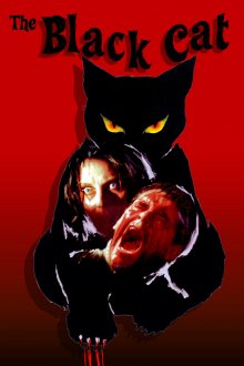 постер к фильму Черный кот