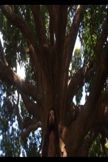 постер к фильму Неизвестный мастер