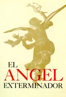 постер к фильму Ангел-истребитель