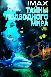 постер к фильму Тайны подводного мира 3D