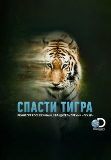 постер к фильму Спасти тигра
