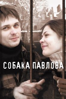 постер к фильму Собака Павлова