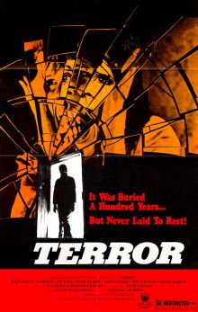 постер к фильму Террор