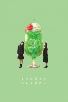 постер к фильму Встречи