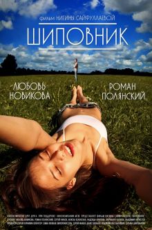 постер к фильму Шиповник