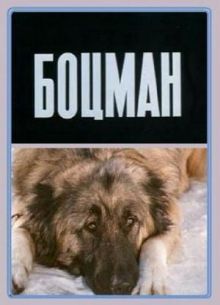 постер к фильму Боцман