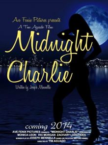 постер к фильму Чёрный рубин