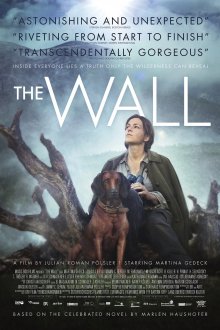 постер к фильму Стена