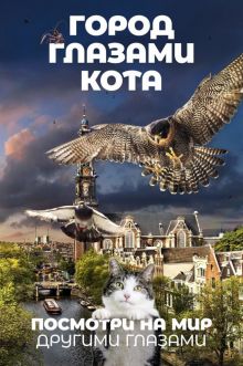 постер к фильму Город глазами кота