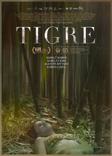 постер к фильму Тигр