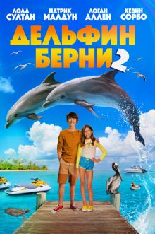 постер к фильму Дельфин Берни 2