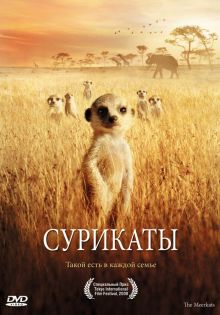 постер к фильму Сурикаты