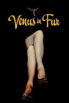 постер к фильму Венера в мехах