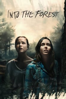 постер к фильму В лесу