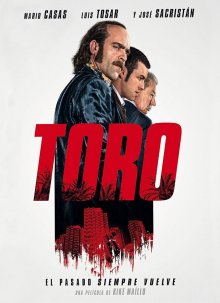 постер к фильму Торо