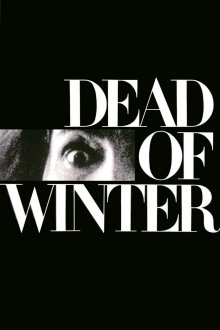 постер к фильму Смерть зимой