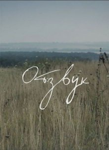 постер к фильму Отзвук