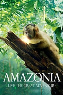 постер к фильму Амазония: Инструкция по выживанию