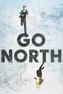 постер к фильму На север